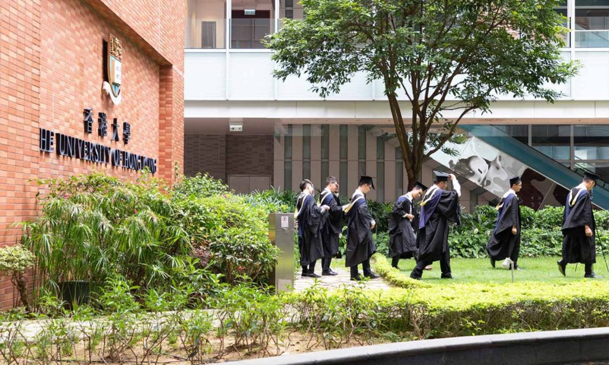 Hong Kong graduate job vacancies fall 61 percent as AI takes over