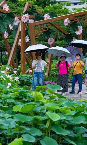 Macao passes 20 million visitor arrivals in 2026, 18 days earlier than last year