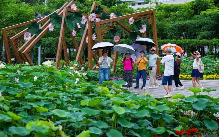 Macao passes 20 million visitor arrivals in 2026, 18 days earlier than last year