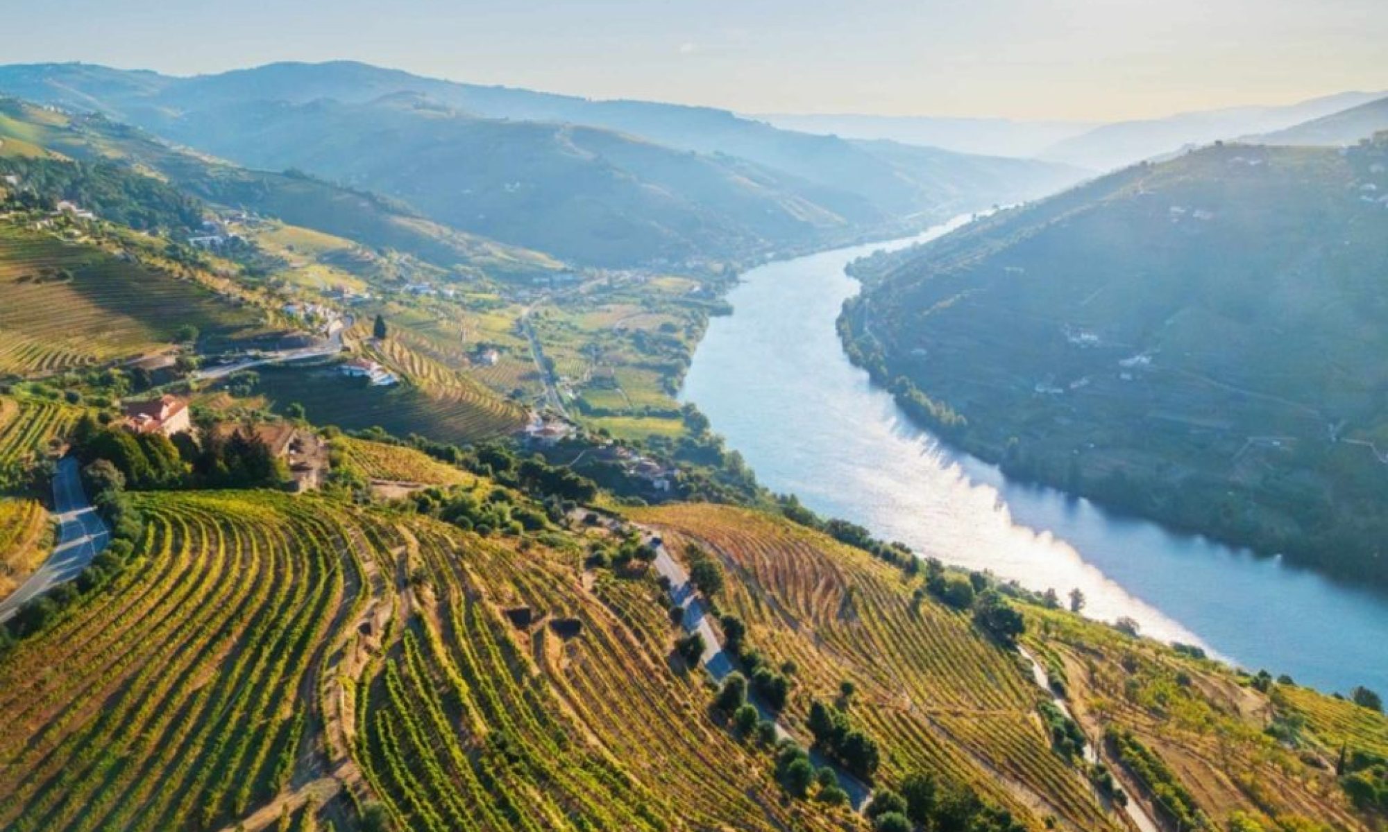 Douro wine region output poised for recovery despite weather concerns