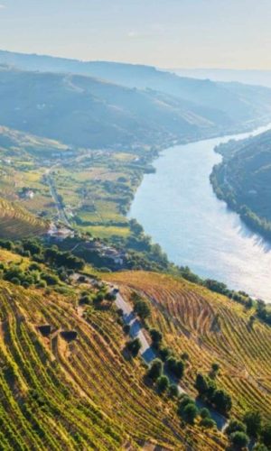 Douro wine region output poised for recovery despite weather concerns