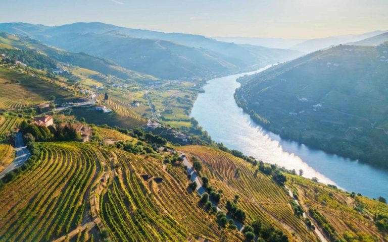 Douro wine region output poised for recovery despite weather concerns