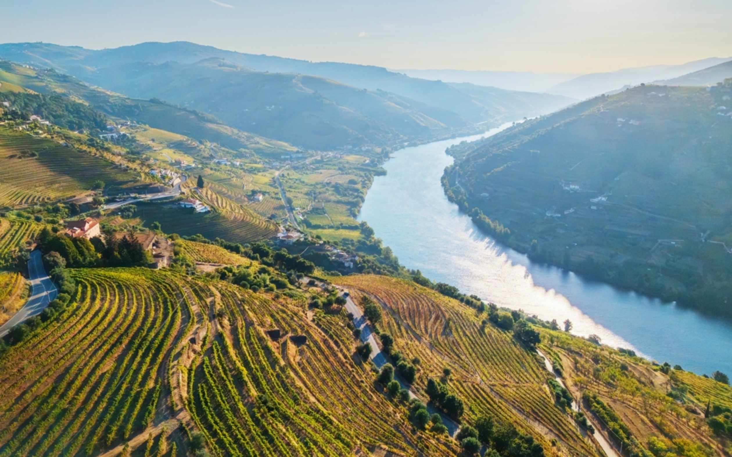 Douro wine region output poised for recovery despite weather concerns