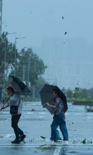 The ultimate Macao typhoon survival guide
