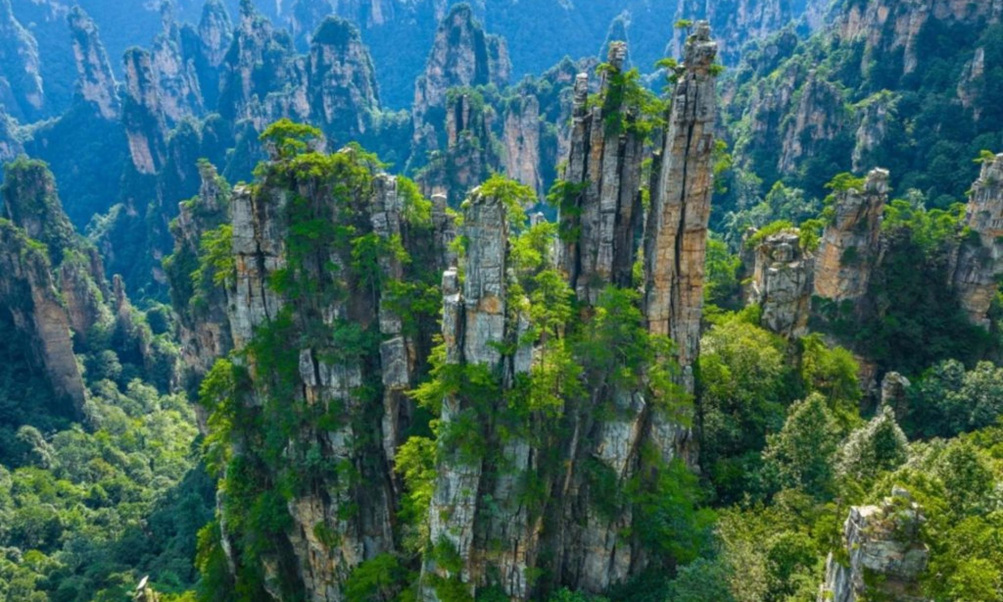 China outlines new targets for ecological protection by 2030