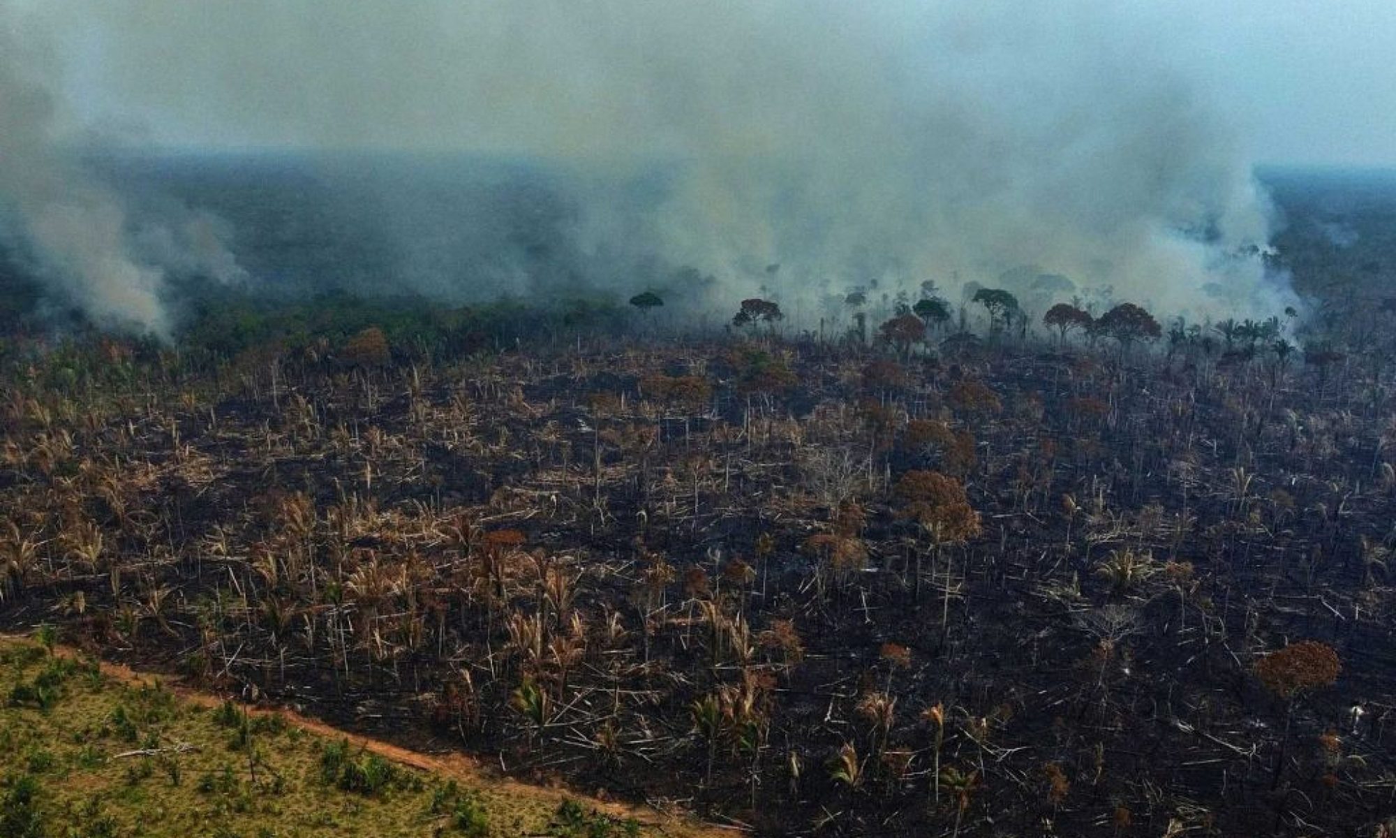 Brazil on track for record low in Amazon deforestation