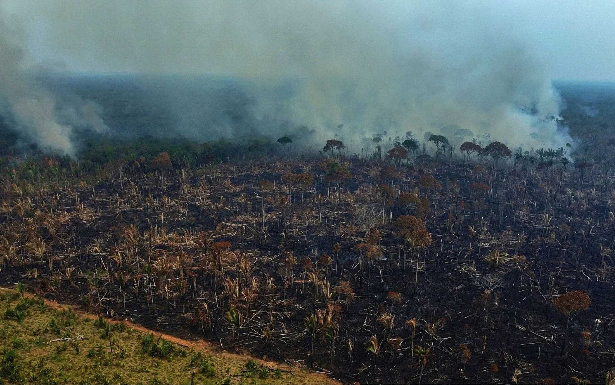 Amazon deforestation