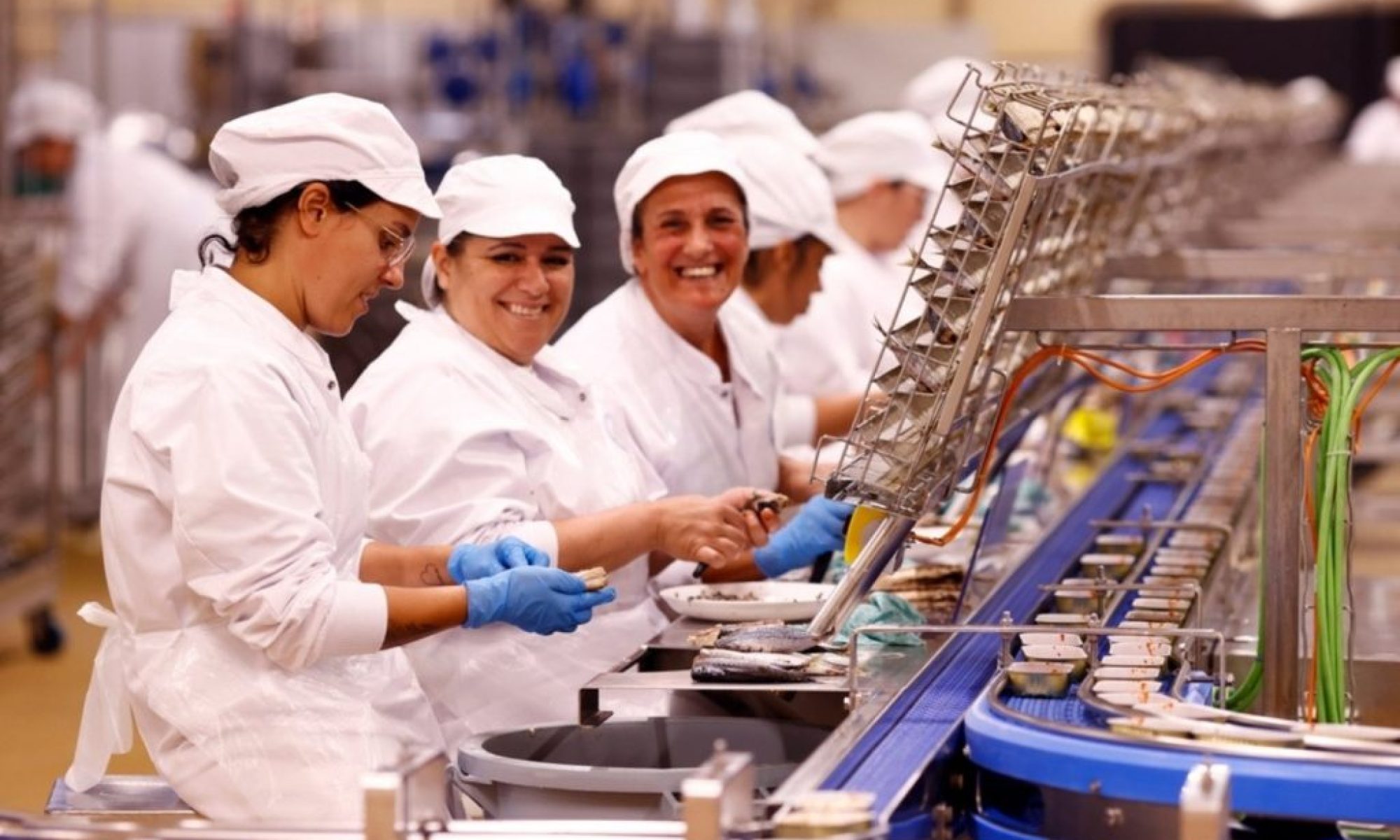 Portugal’s economy secures low-risk rating even as industrial sector stalls