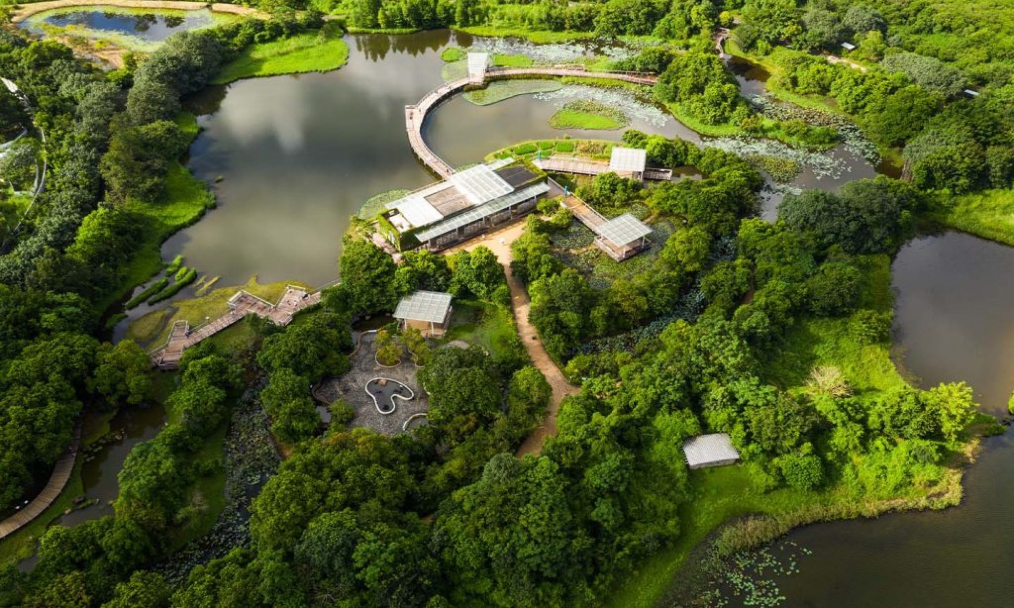 China’s new environmental code opens door to GBA cooperation