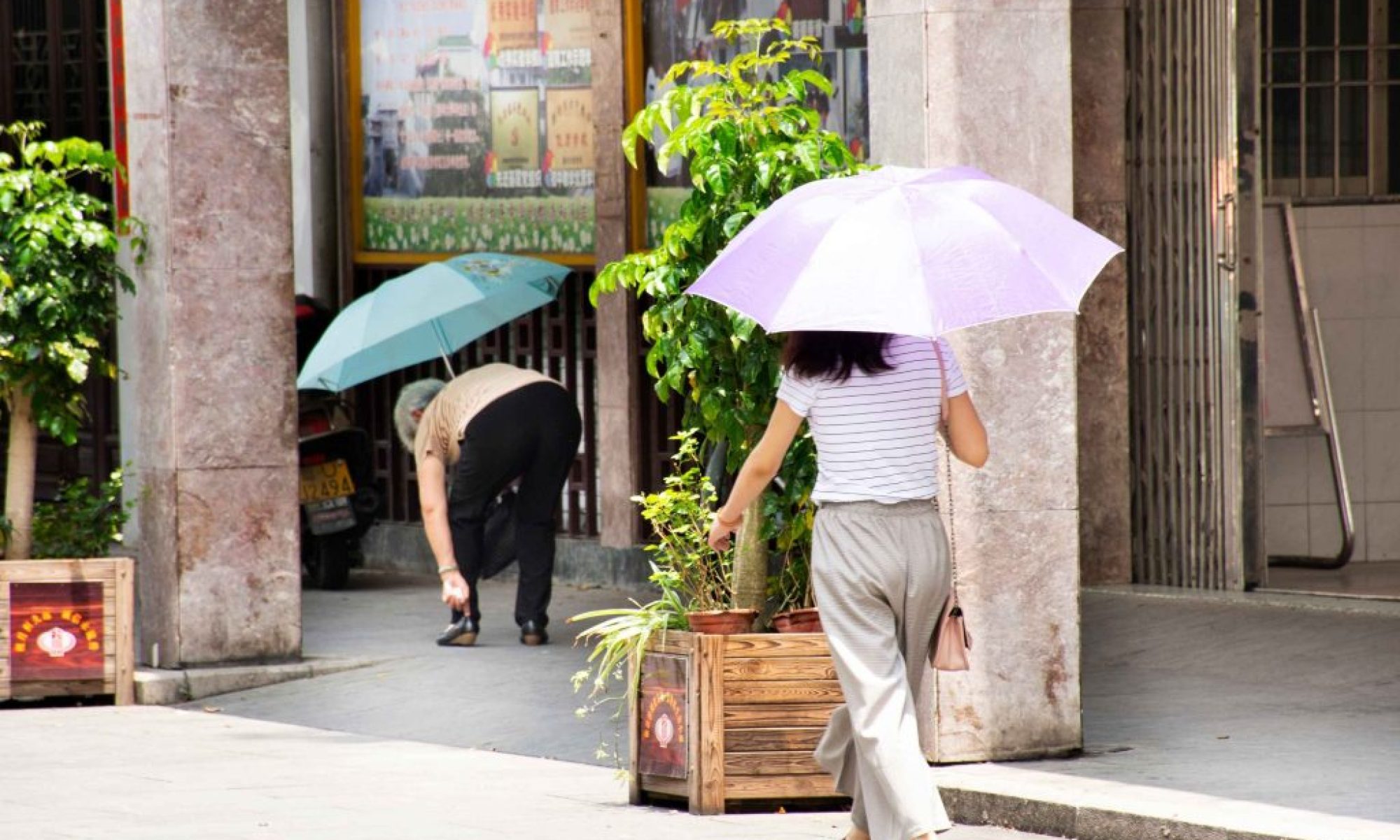Typhoon Dolphin triggers extreme heat across China’s Greater Bay Area