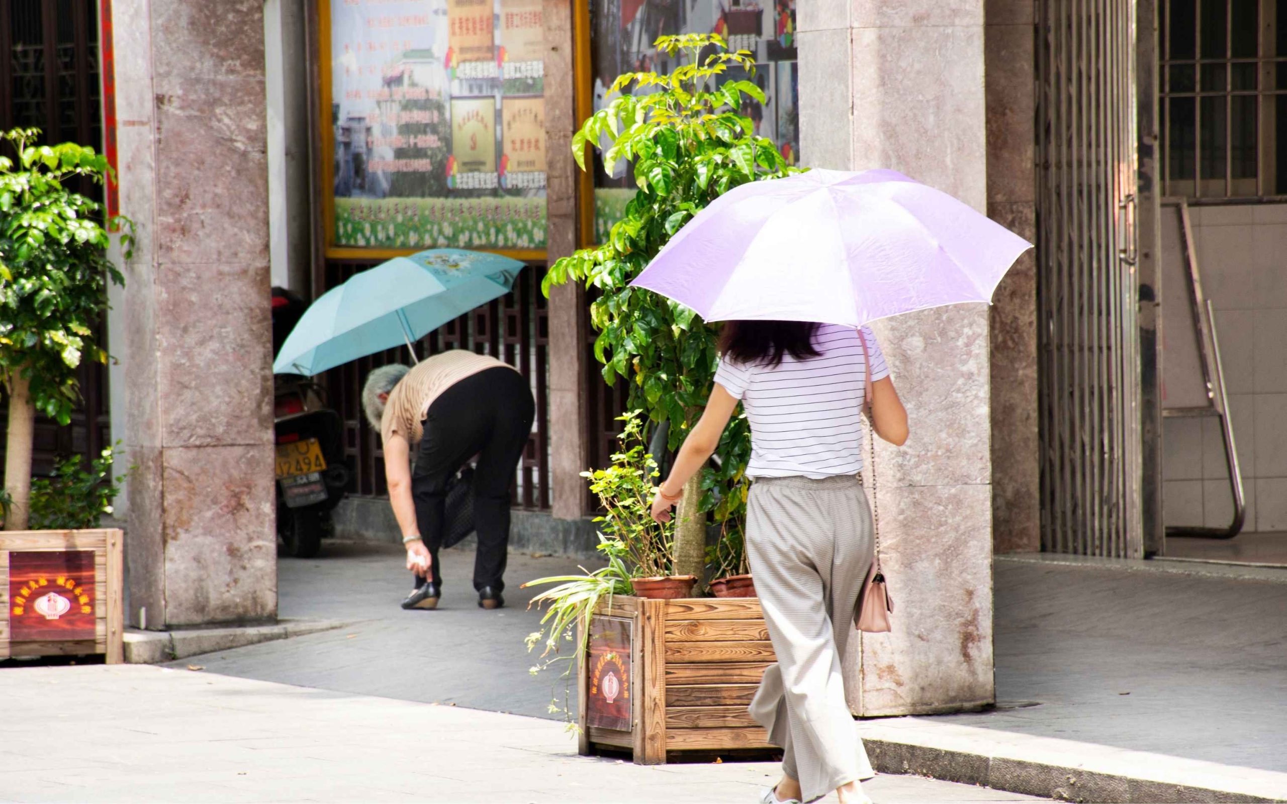 Typhoon Dolphin triggers extreme heat across China’s Greater Bay Area