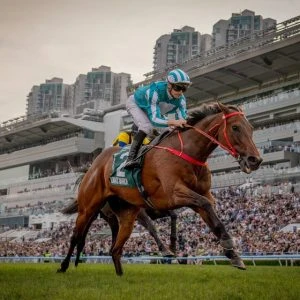 Legendary Hong Kong racehorse Romantic Warrior retires with world record earnings