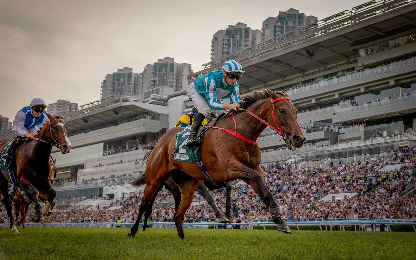 Romantic Warrior retires with world record earnings