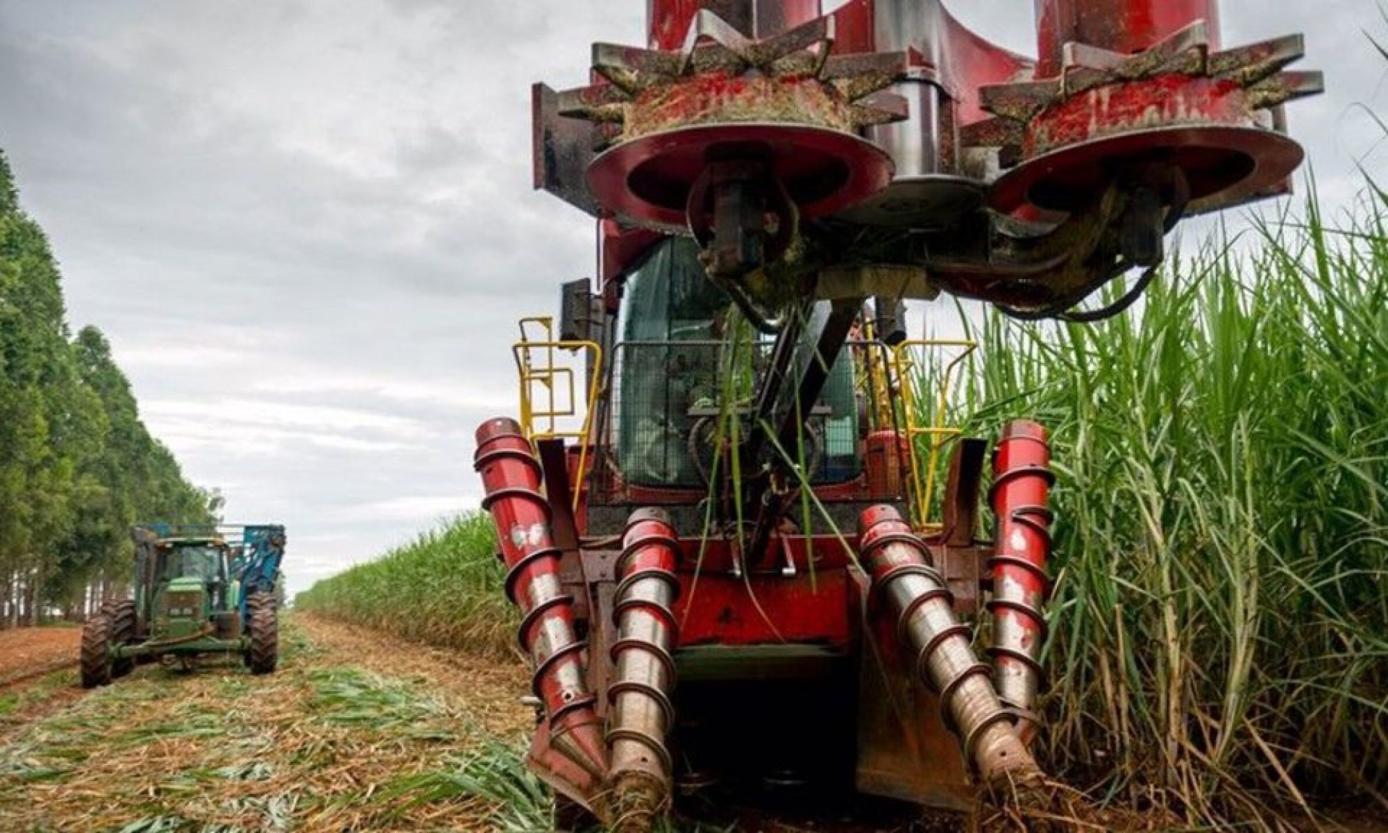 COFCO’s sugar expansion sees Chinese giant acquire new Brazilian mills