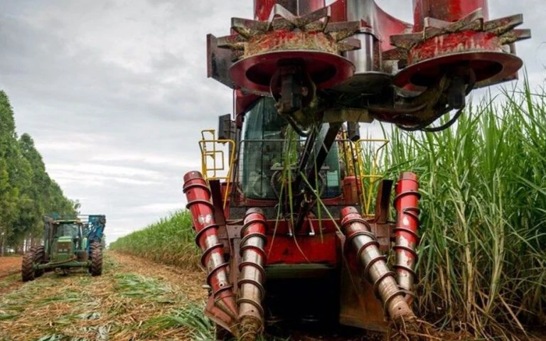 COFCO’s sugar expansion sees Chinese giant acquire new Brazilian mills