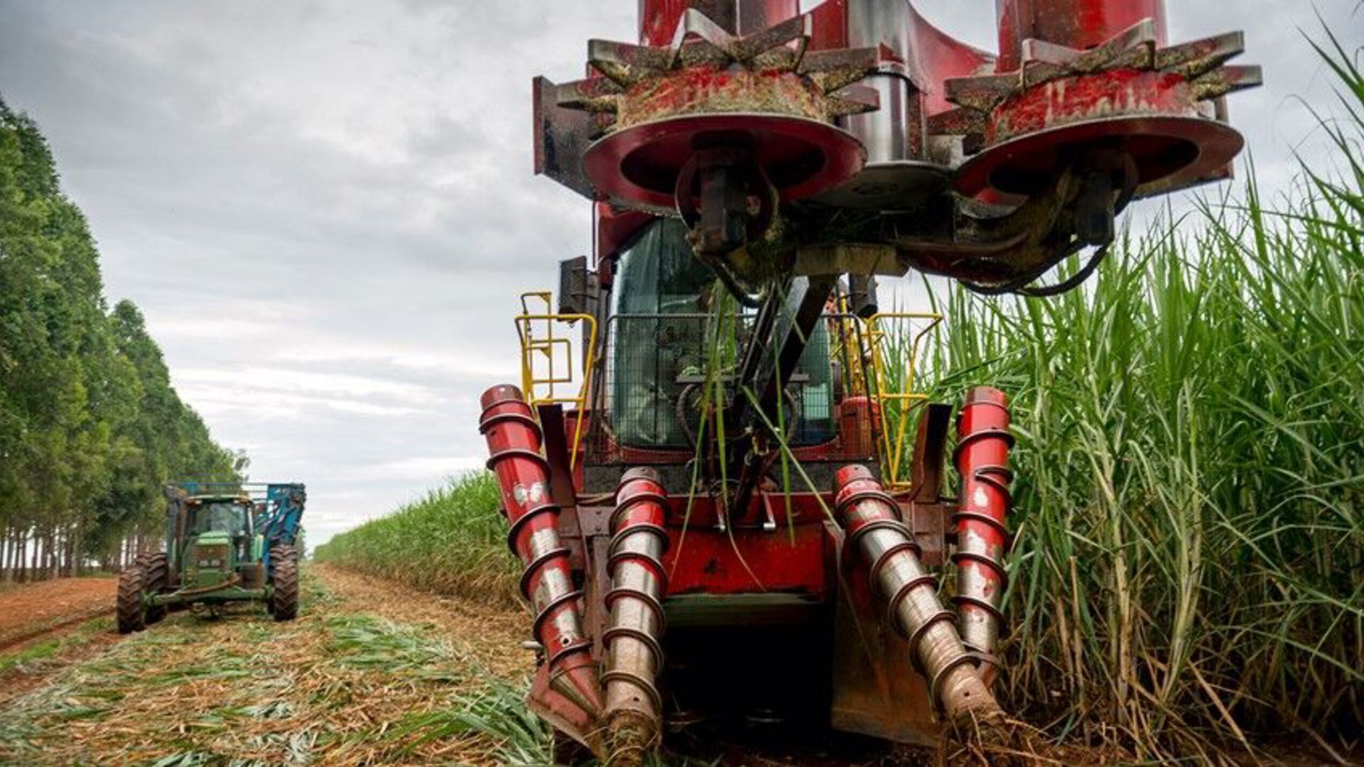 COFCO's sugar expansion