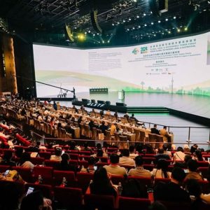 Macao to host Global Legal & Sustainable Timber Forum