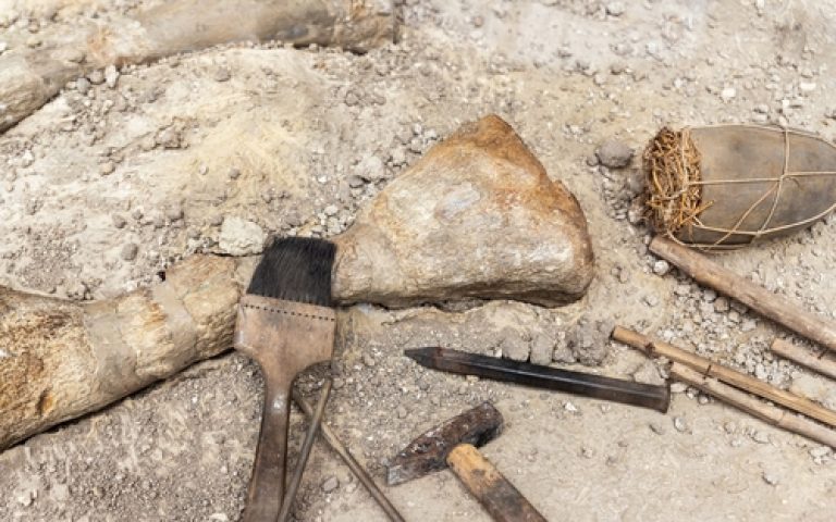 Discovery of giant new dinosaur in Brazil reveals prehistoric connection to Europe