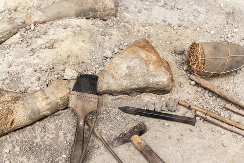 Discovery of giant new dinosaur in Brazil reveals prehistoric connection to Europe