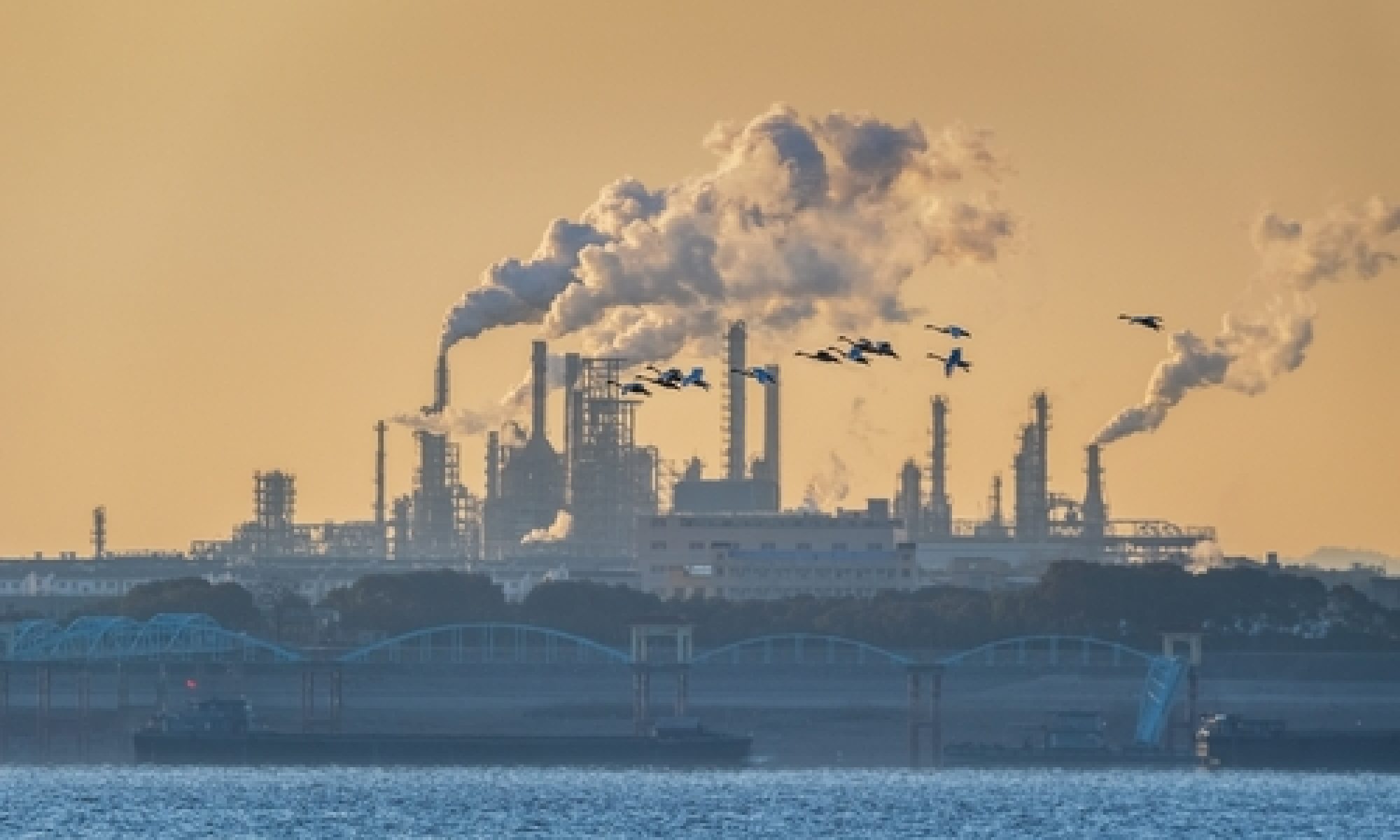 China’s oil demand is set to shrink sharply