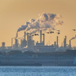 China’s oil demand is set to shrink sharply