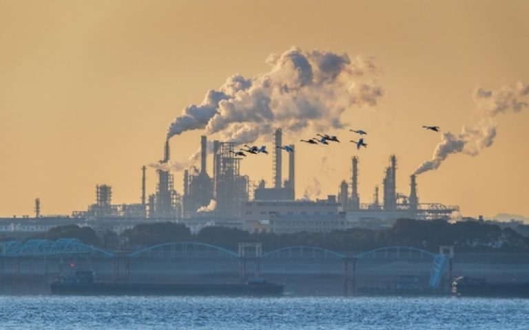 China’s oil demand is set to shrink sharply