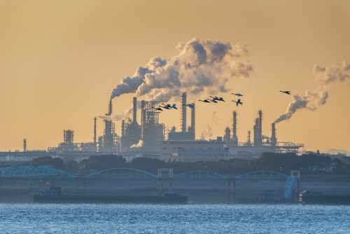 China's oil demand