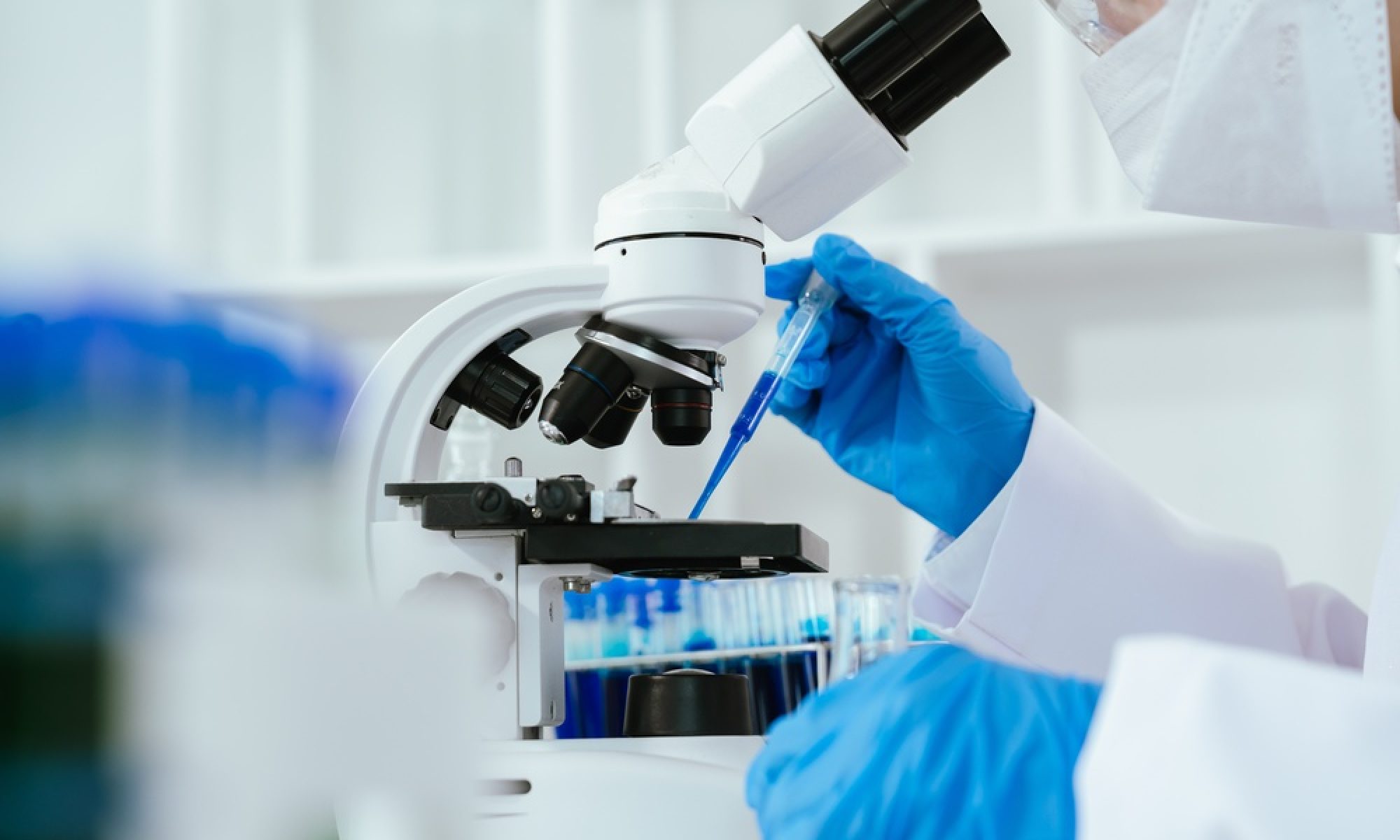 Portugal and China agree new framework for scientific cooperation